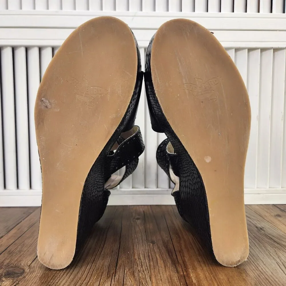 freebird pre owned